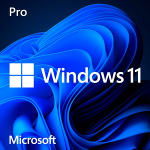 Windows 11 Pro